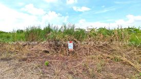 Land for sale in Na Mai, Pathum Thani