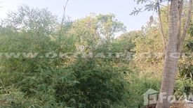 Land for sale in Nong Phrao Ngai, Nonthaburi