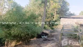 Land for sale in Nong Phrao Ngai, Nonthaburi