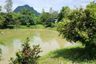 Land for sale in Wang Saphung, Loei