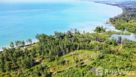 Land for sale in Bang Muang, Phang Nga