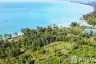 Land for sale in Bang Muang, Phang Nga