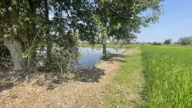 Land for sale in Klondo, Kanchanaburi