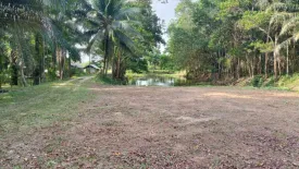 Land for sale in Klai, Nakhon Si Thammarat