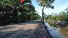 Land for sale in Klai, Nakhon Si Thammarat