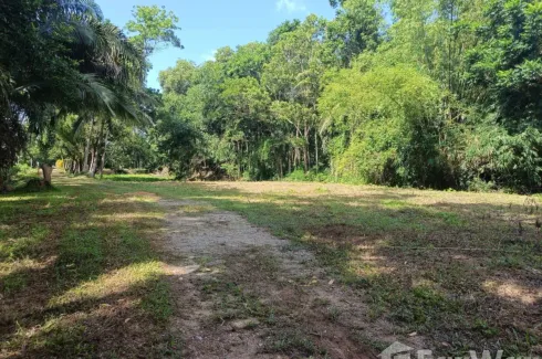 Land for sale in Klai, Nakhon Si Thammarat