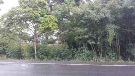 Land for sale in Than Kasem, Saraburi