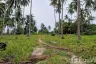 Land for sale in Khanom, Nakhon Si Thammarat