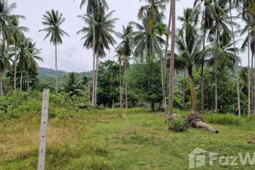 Land for sale in Khanom, Nakhon Si Thammarat