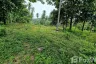 Land for sale in Khanom, Nakhon Si Thammarat