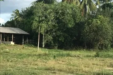 Land for sale in Khao Krapuk, Phetchaburi