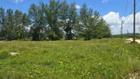Land for sale in Bang Sai, Phang Nga