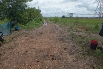 Land for sale in Don Pho, Lopburi