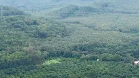 3 Bedroom House for rent in Samnak Thong, Rayong