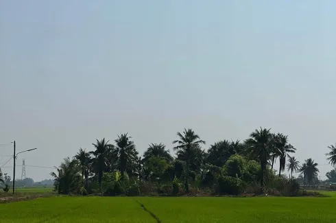 Land for sale in Bueng Bon, Pathum Thani