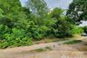 Land for sale in Sam Chuk, Suphan Buri