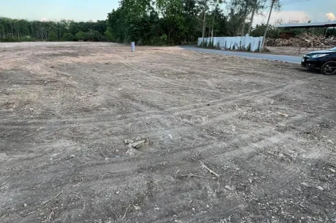 Land for sale in Khuan Krot, Nakhon Si Thammarat