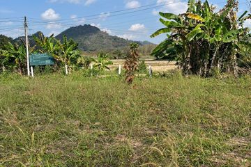 Land for sale in Tha Sut, Chiang Rai