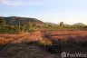 Land for sale in Mae Na Wang, Chiang Mai
