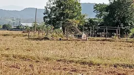 Land for sale in Phra Bat, Lampang