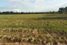 Land for sale in Phak Top, Udon Thani
