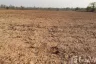Land for sale in Phak Top, Udon Thani