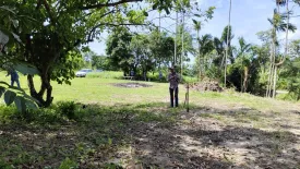 Land for sale in Khok Kloi, Phang Nga