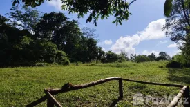 Land for sale in Khok Kloi, Phang Nga