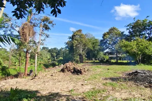 Land for sale in Khok Kloi, Phang Nga