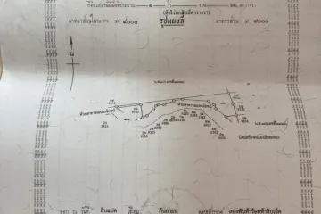 Land for sale in Wang Sai, Nakhon Ratchasima