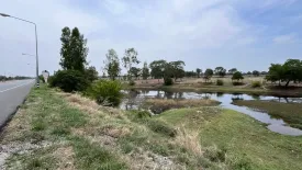 Land for sale in Phan Aen, Maha Sarakham