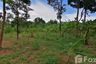 Land for sale in Tha Takhro, Phetchaburi
