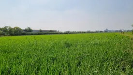 Land for sale in Khlong Nueng, Pathum Thani