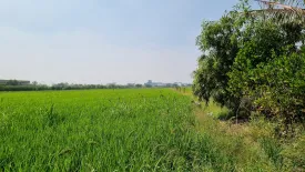 Land for sale in Khlong Nueng, Pathum Thani