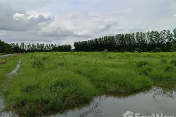 Land for sale in Ban Phrik, Nakhon Nayok