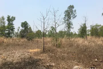 Land for sale in Chiang Pheng, Udon Thani