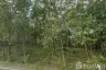 Land for sale in Mai Khao, Phuket