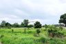 Land for sale in Pong, Chonburi
