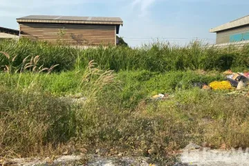 Land for sale in Om Noi, Samut Sakhon