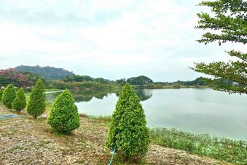 Land for sale in Doi Lo, Chiang Mai