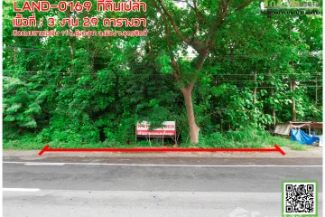 Land for sale in Khung Taphao, Uttaradit