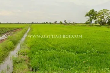 Land for sale in Sisa Krabue, Nakhon Nayok