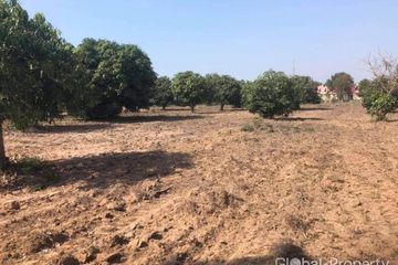 Land for sale in Nong Prue, Chonburi