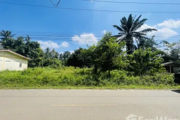 Land for sale in Krabi Noi, Krabi
