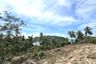 Land for sale in Taling Ngam, Surat Thani