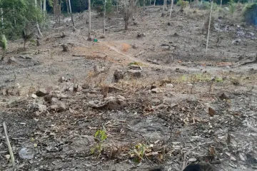 Land for sale in Mae Nam, Surat Thani