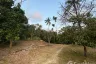 Land for sale in Mae Nam, Surat Thani