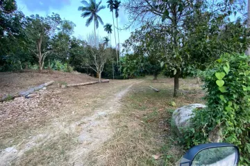 Land for sale in Mae Nam, Surat Thani