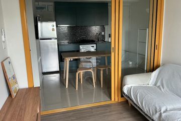 1 Bedroom Condo for rent in THE BASE Sukhumvit 50, Phra Khanong, Bangkok near BTS On Nut