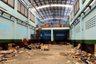 Warehouse / Factory for sale in Khok Krabue, Samut Sakhon